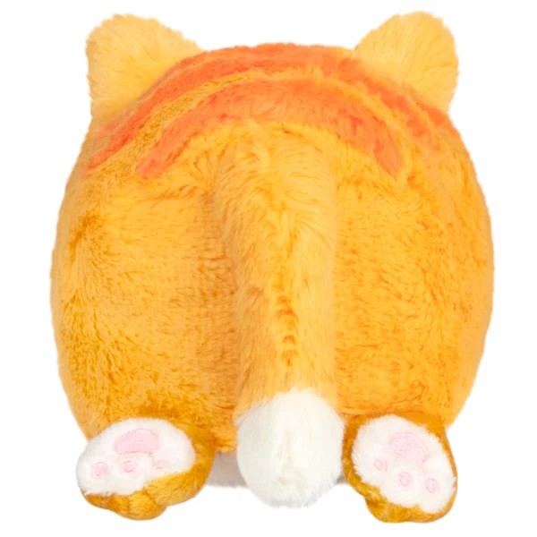 Snacker Kitty S1E5