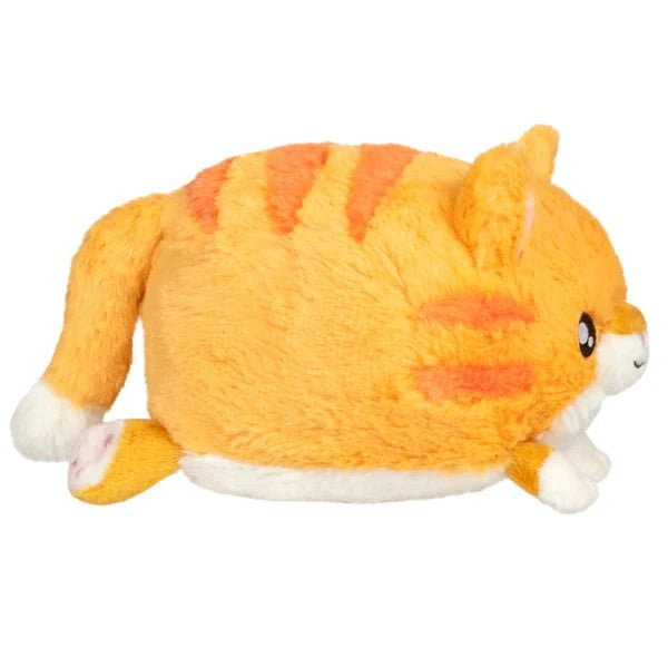 Snacker Kitty S1E5