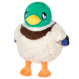 Mini Squishable Mallard Duck