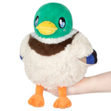 Mini Squishable Mallard Duck