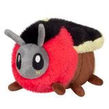 Snacker Firefly