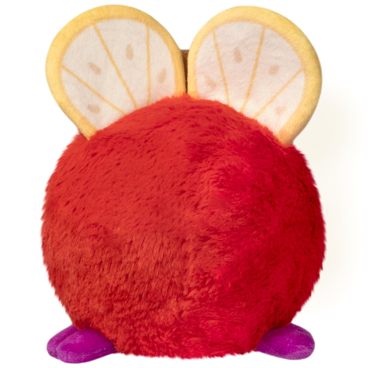 Snacker Fruit Fly S1E3