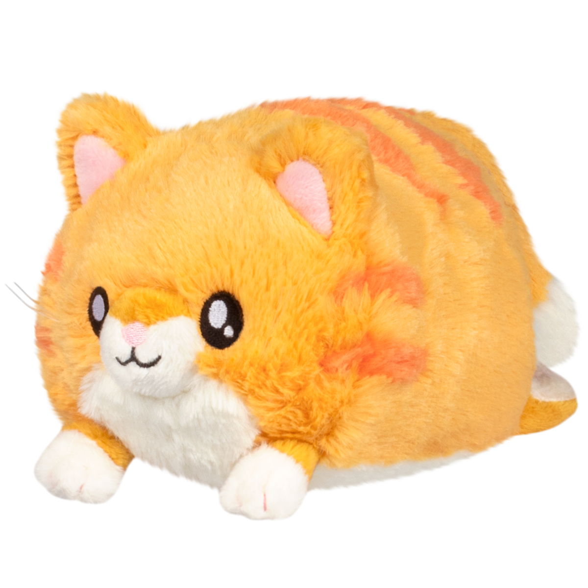 Snacker Kitty S1E5