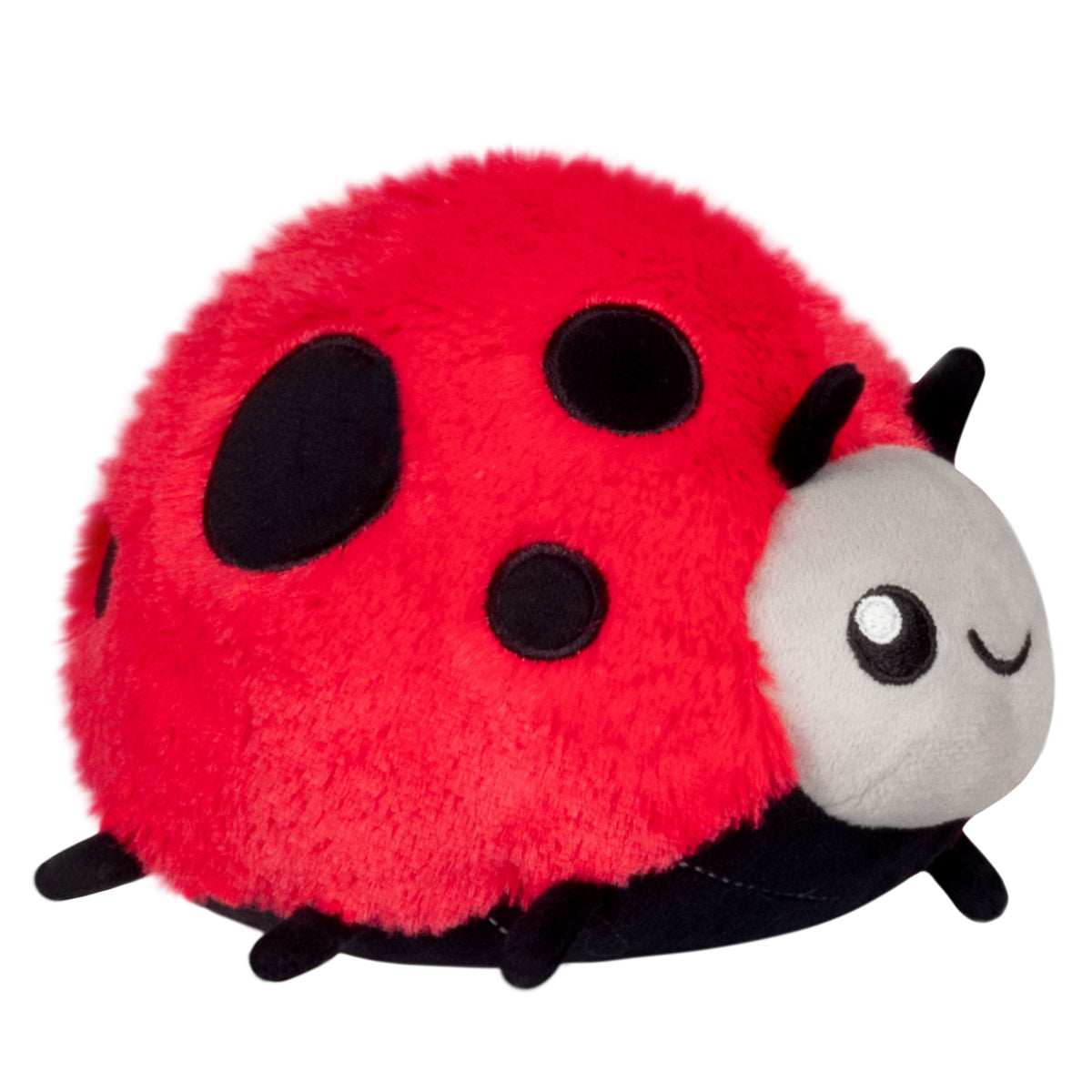 Snacker Ladybug