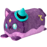 Toobling Witchy Cat