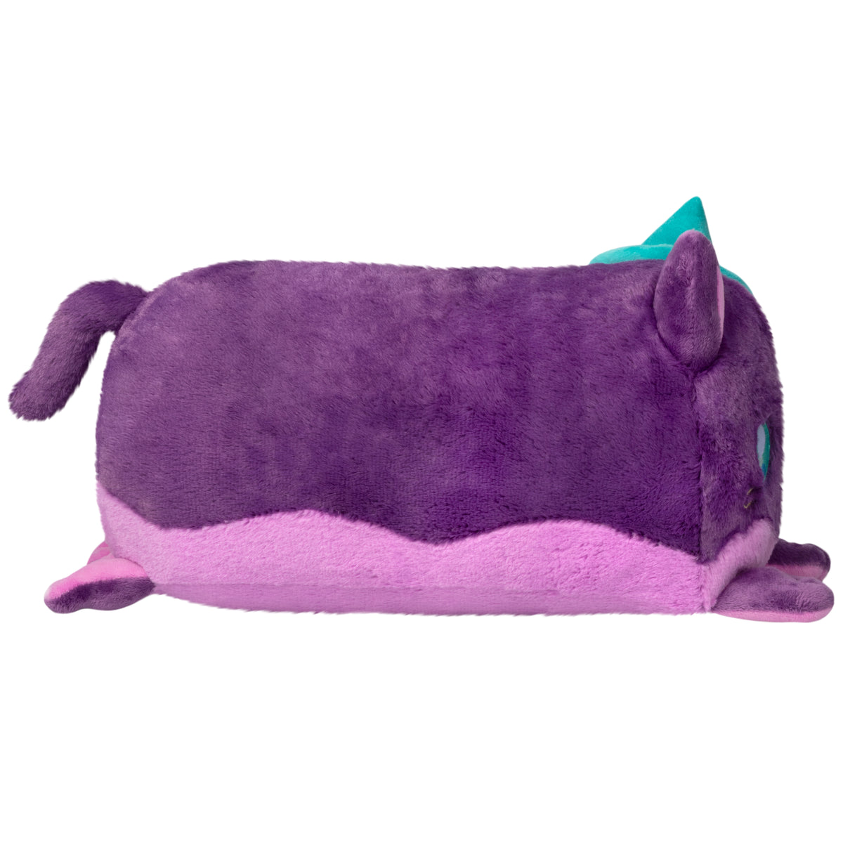 Toobling Witchy Cat